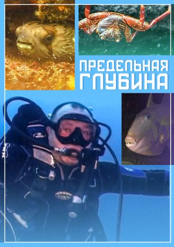 Предельная глубина