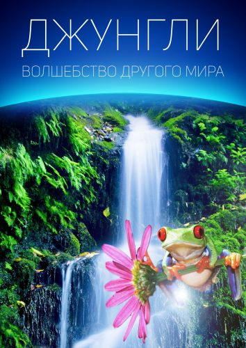 Джунгли: Волшебство другого мира