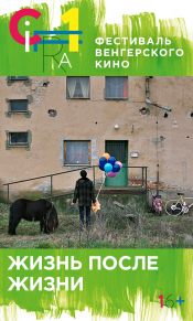 Жизнь после жизни