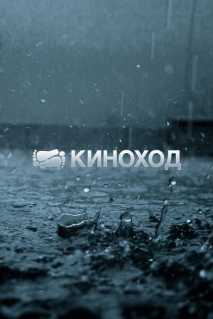 Белый Бим Черное ухо