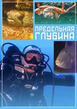 Предельная глубина