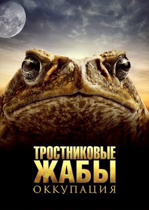 Тростниковые жабы: Оккупация