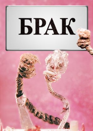 Брак