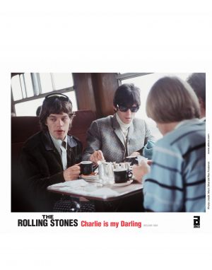 The Rolling Stones: Чарли — мой лапочка