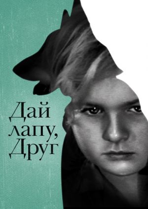 Дай лапу, Друг