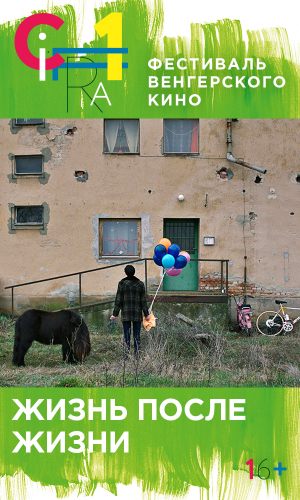 Жизнь после жизни