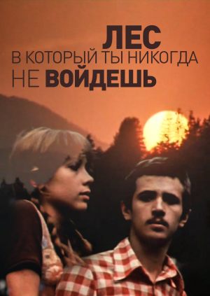 Лес, в который ты никогда не войдешь