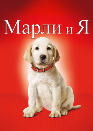 Марли и я