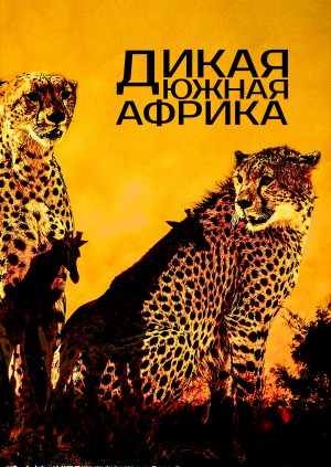 Дикая Южная Африка