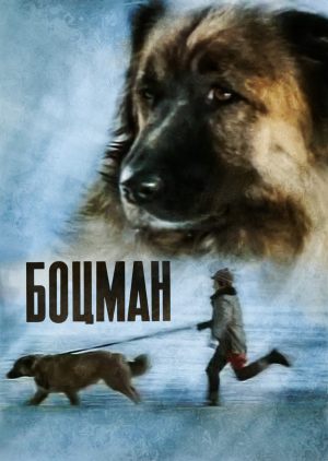 Боцман