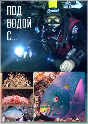 Под водой с...