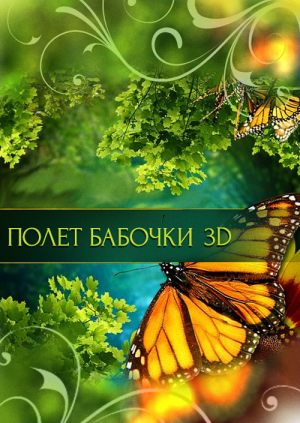 Полет бабочки