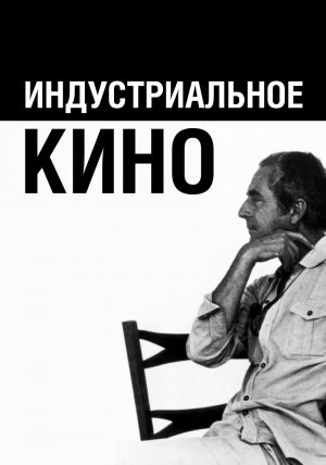 Индустриальное кино