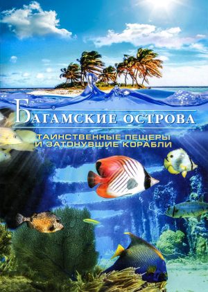 Багамские острова: Таинственные пещеры и затонувшие корабли
