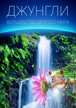 Джунгли: Волшебство другого мира