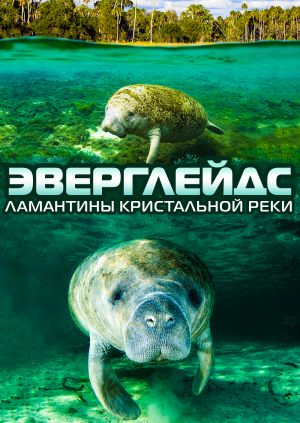 Эверглейдс: Ламантины Кристальной реки